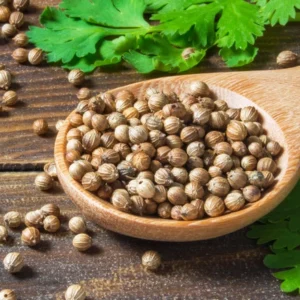 Coriander Whole - 275g (9.7) oz