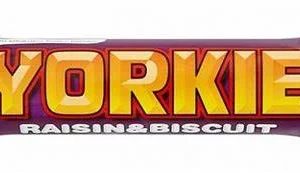 Nestle Yorkie Raisin & Biscuit 46g